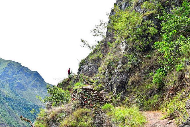 07 Day: Inca Jungle Adventure with Mountain Bike, Rafting, Zipline & Trek - Zipline Time in the Jungle Segment