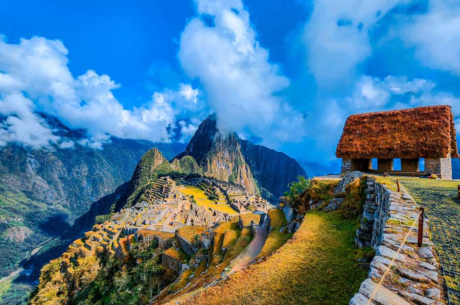 2-Day Inca Trail Hike to Machu Picchu & Panoramic Train - Wiñay Wayna: terraces you can almost read