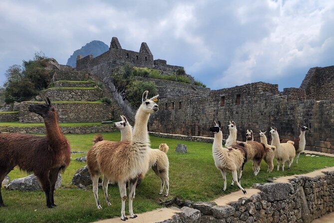 2 Day - Inca Trail to Machu Picchu - Day 1: Cusco to Km 104, then Chachabamba into the cloud forest