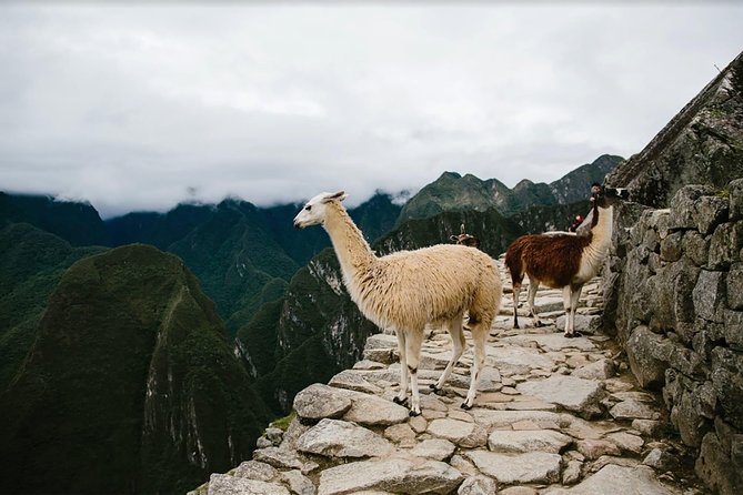 2-Day Short Inca Trail to Machu Picchu - Guided Machu Picchu, then free time: choose your pace
