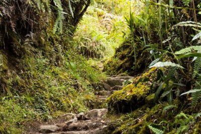 2 Day - Short Inca Trail to Machu Picchu - Group Service - Day 2: the 5:30am bus up, a guided Machu Picchu walk, then your own time