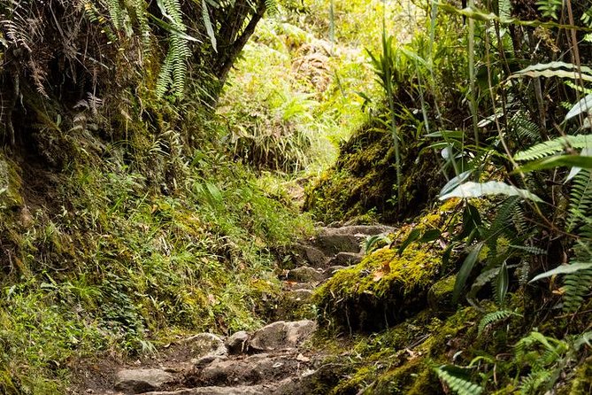 2 Day - Short Inca Trail to Machu Picchu - Group Service - Day 2: the 5:30am bus up, a guided Machu Picchu walk, then your own time