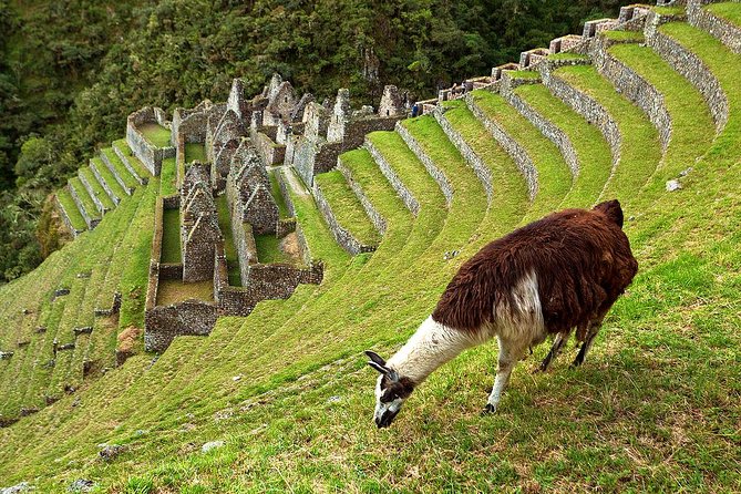 2 Day - Short Inca trail to Machu Picchu - Private Services - Huayna Picchu Permits: If You Want It, Plan Early