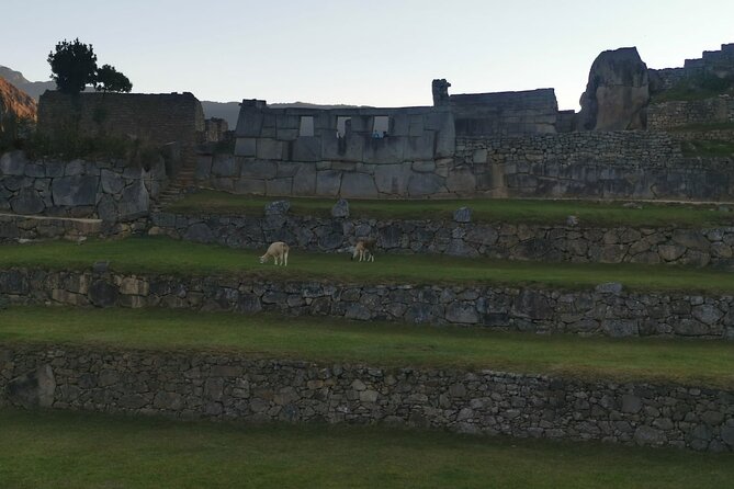2-Day Tour in Sacred Valley and Machu Picchu from Cusco - Wayna Picchu and other add-ons you should budget for