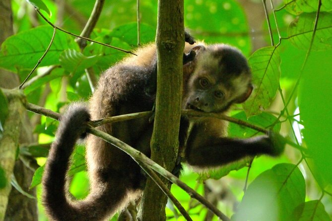 3-Day Eco-Sustainable Private Tour Manu National Park - The Cusco start: why the 5:30–6:00 AM pick-up matters