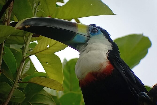 3-Day Eco-Sustainable Private Tour Manu National Park - Entering Manu with Atalaya’s river rhythm
