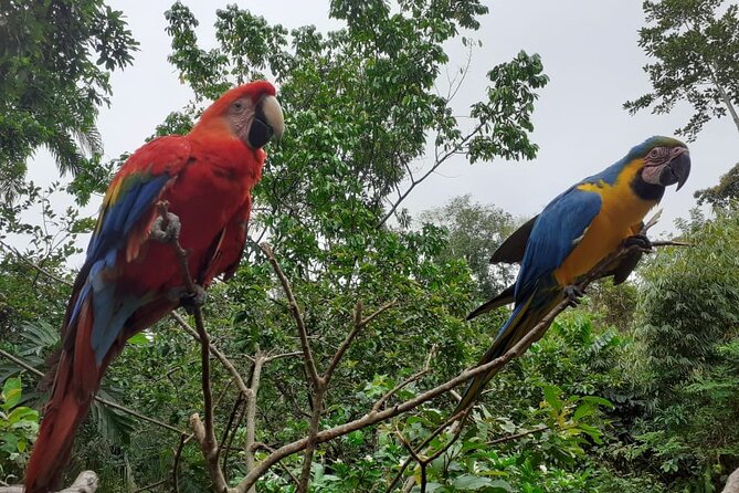3-Day Eco-Sustainable Private Tour Manu National Park - Eco-sustainable details that actually affect your day