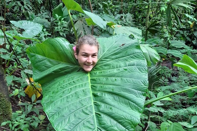 3-Day Eco-Sustainable Private Tour Manu National Park - Wildlife spotting that feels real (not scripted)