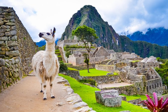4-Day Excursion to MachuPicchu & Rainbow Mountain & City tour || All Included || - Day 3 Machu Picchu by train: the bus timing and ticket checks that matter