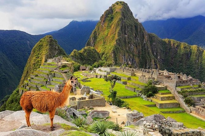 4-Day Excursion to MachuPicchu & Rainbow Mountain & City tour || All Included || - Day 4 in Cusco: Cathedral time and an optional pisco sour stop