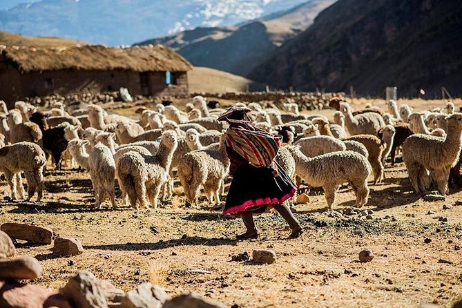 4-Day Lares Trek to Machu Picchu - Why the Lares Trek feels more real than the main route