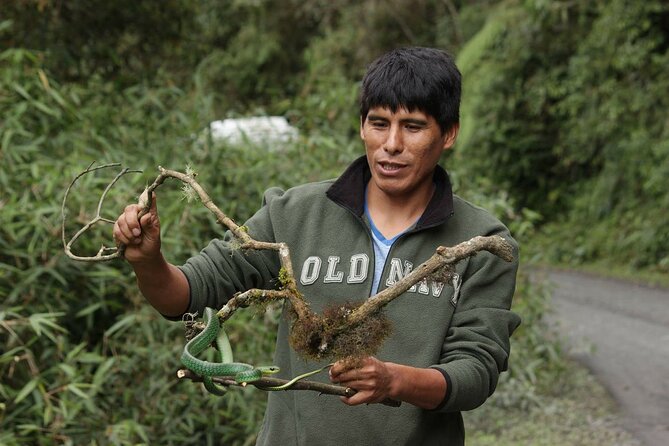 4 Day Tour to the Manu National Park - From Cusco to Paucartambo: Andean Valleys First, Jungle Later