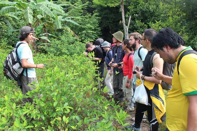 4 Days Inca Jungle to Machu Picchu Standard - Comfort, Pace, and What to Pack for a Jungle Trek