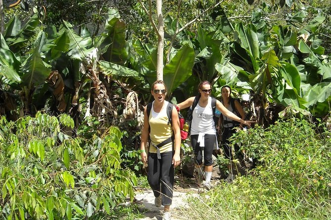 4 Days Inca Jungle to Machu Picchu Standard - Guide Style and Group Dynamics: The Difference Between Fine and Great