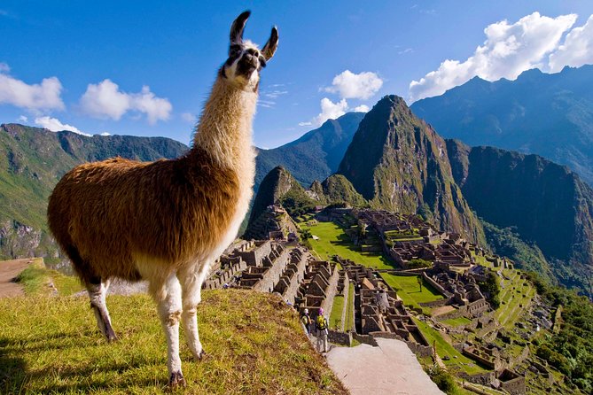5 Day - Tour to Machu Picchu Traditional - Group service - Cusco on day one: Qorikancha, Santo Domingo, and the Inca walls