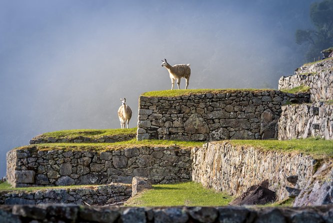 5 Day - Tour to Machu Picchu Traditional - Group service - Train to Aguas Calientes: the scenic reset before Machu Picchu