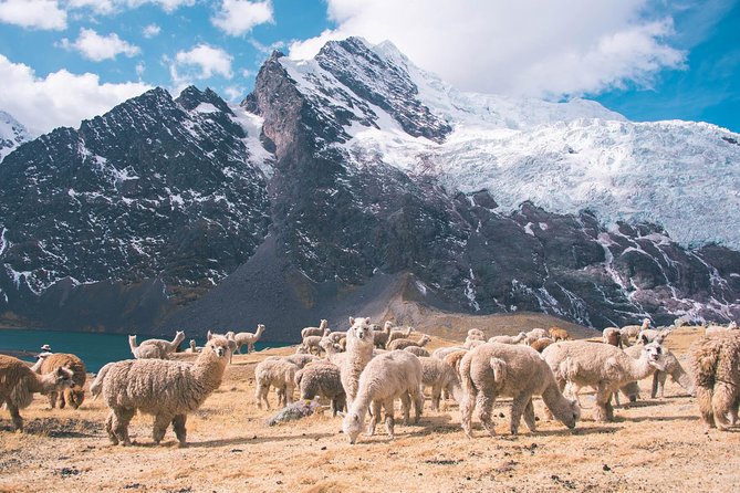 6 day Rainbow Mountain x Ausangate Trek - FlashpackerConnect - Day 6: Sunrise to Rainbow Mountain, Red Valley, and Back to Cusco by 3pm