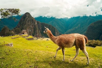 6-Day Tour of Cusco Magico-Machu Picchu-Rainbow Mountain - Day 1 in Cusco: Qoricancha, Sacsayhuamán, Q’enqo, Tambomachay