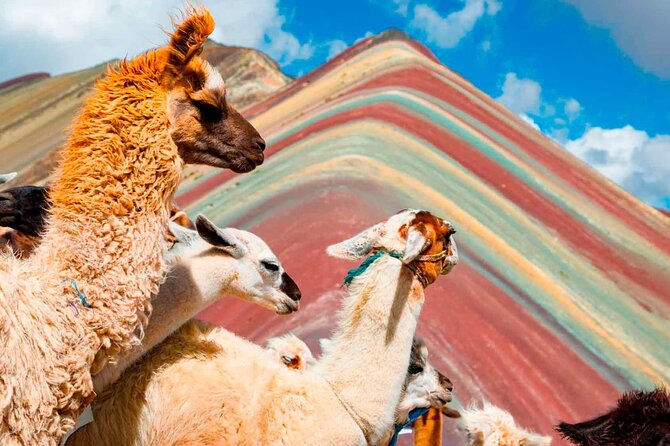 6-Day Tour of Cusco Magico-Machu Picchu-Rainbow Mountain - Packing, Pace, and Health: Making the Altitude Days Work