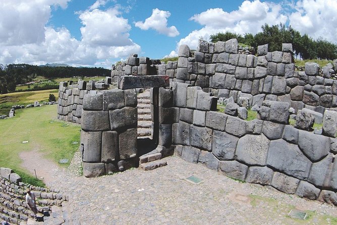 City Tour in Cusco & visit Museum South American Camelid Private. - Manos De La Comunidad Camelid Farm: Feed Alpacas, Learn Textiles