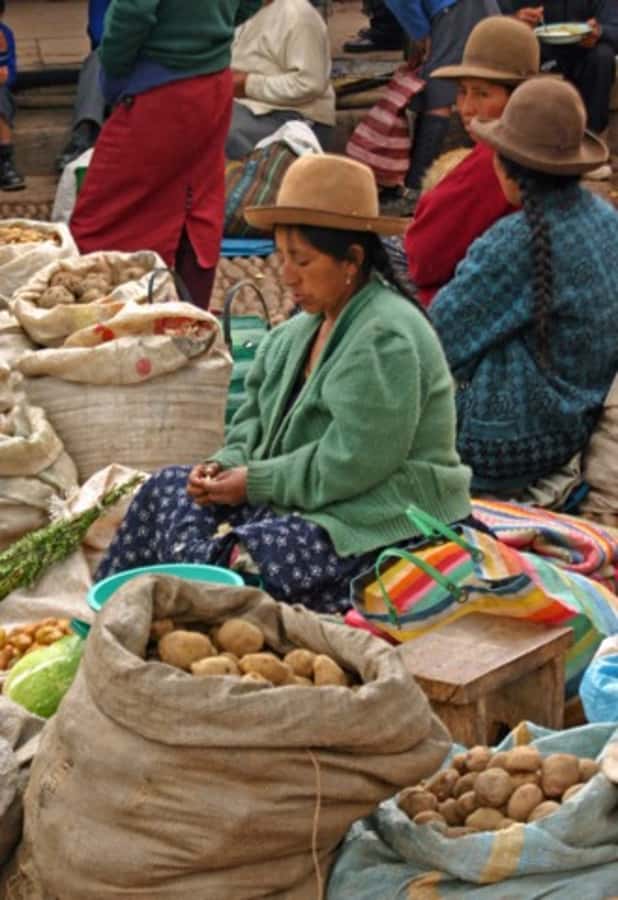 Cusco: 3-Hour Peruvian Cooking Class - Why a Market-to-Kitchen Class Works in Cusco