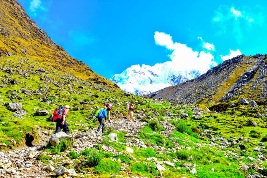 Cusco: 5-Day Salkantay Ultimate Trek to Machu Picchu - Key Highlights You’ll Feel From Day 1