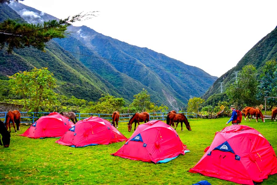 Cusco: 5-Day Salkantay Ultimate Trek to Machu Picchu - Price and Value: What You’re Really Paying For