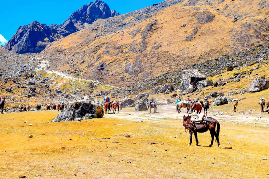 Cusco: 5-Day Salkantay Ultimate Trek to Machu Picchu - Day 5: Machu Picchu in the Morning, Then Trains Back to Cusco