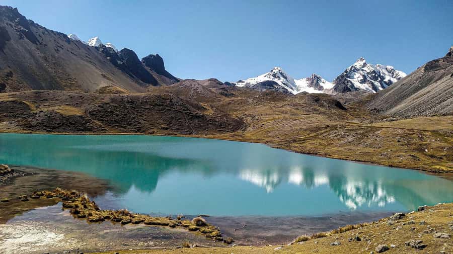 Cusco: 7 Lagoons of Ausangate Hiking Day Trip with Lunch - Leaving Cusco at 05:00 and getting to Pacchanta
