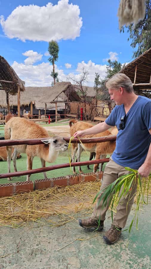 Cusco: Alpaca and Llama Farm Tour w/ Transfer & Weaving Demo - Why This Cusco Alpaca and Llama Farm Tour Fits Most Schedules