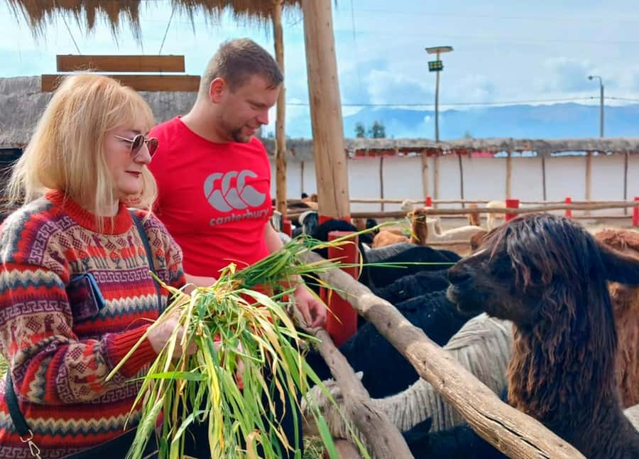 Cusco: Archeological Sites Tour and Forest Photo Experience - Price and logistics: what $17 covers, and what it does not