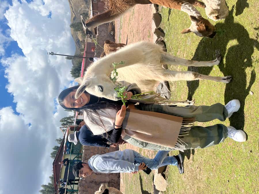 Cusco: Archeological Sites Tour and Forest Photo Experience - What to bring for Cusco ruins and the Qenqo forest