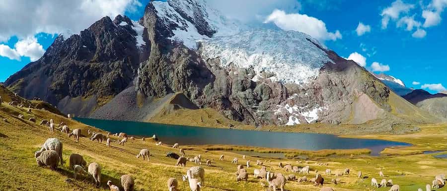 Cusco: Ausangate Tour 7 Lagoons full day - The 4:30–5:00 a.m. Pickup and the Drive Toward Pacchanta