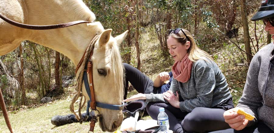 Cusco: Half-Day Horseback Riding at Devil's Balcony - Riding out above Cusco: farms, animals, and wide views