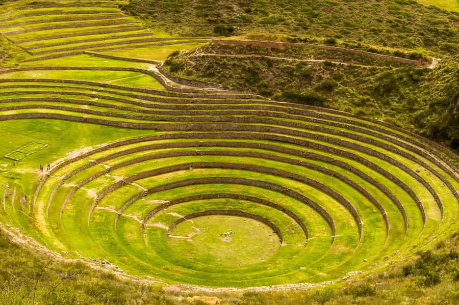 Cusco: Maras and Moray Tour ending in Ollantaytambo - Urubamba lunch: a buffered break between two major sites