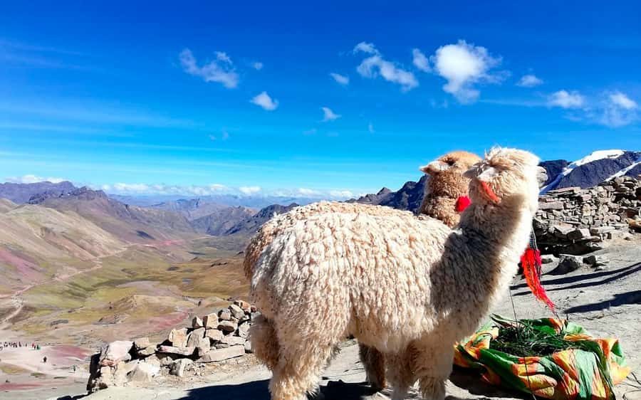 Cusco: Mountain of 7 colors Vinicunca and the Red Valley (optional) - Price and value: what you pay up front versus what costs extra
