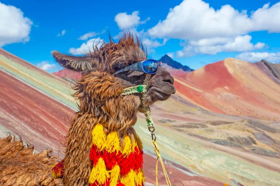 Cusco : Rainbow Mountain and Red Valley Tour - Phulawasipata parking: your horse option before the climb