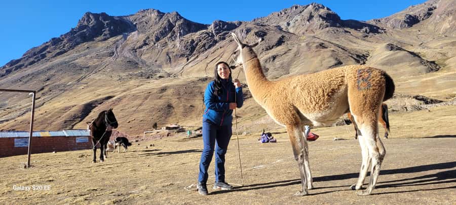 Cusco: Rainbow Mountain & Red Valley Tour with Picnic meals - Who This Tour Fits (and Who Should Skip It)
