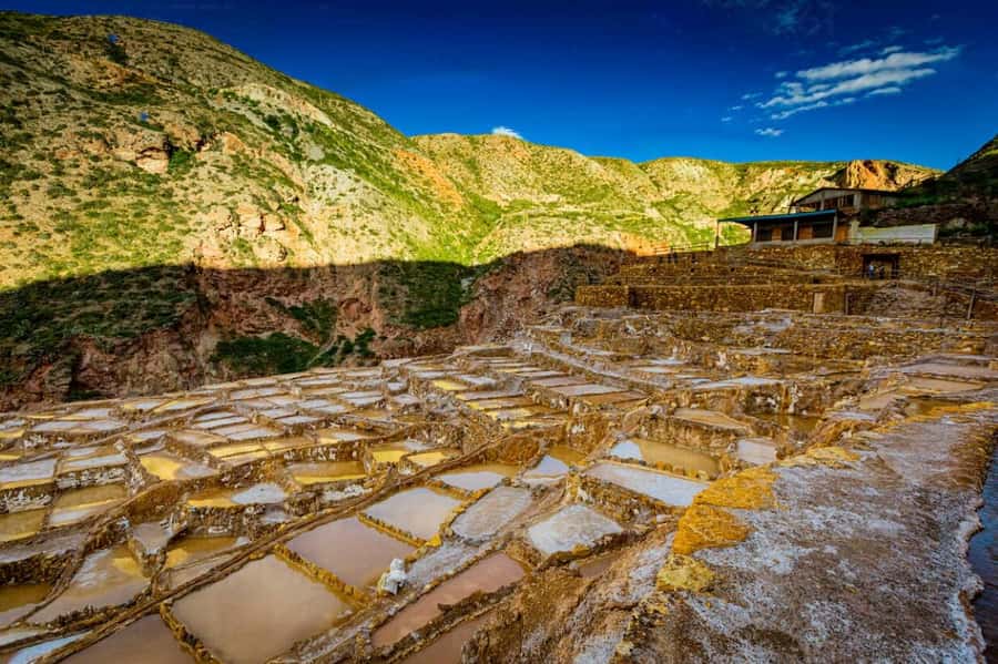 Cusco: Sacred Valley, Pisac, Ollantaytambo, Salt Mines Moray - Price and value: what you’re really paying for
