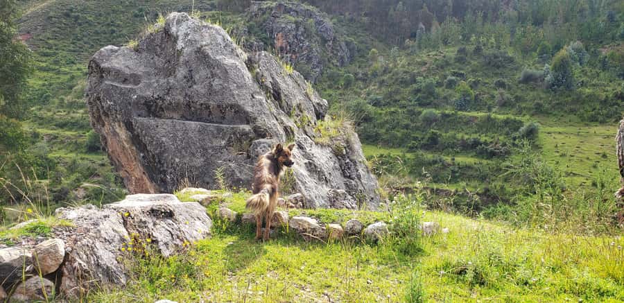 Cusco: Sacsayhuaman Guided Tour and 1-Hour Horseback Ride - Vieja Estancia Ranch: helmets, muleteers, and a 1-hour ride in the Sacsayhuaman National Park area