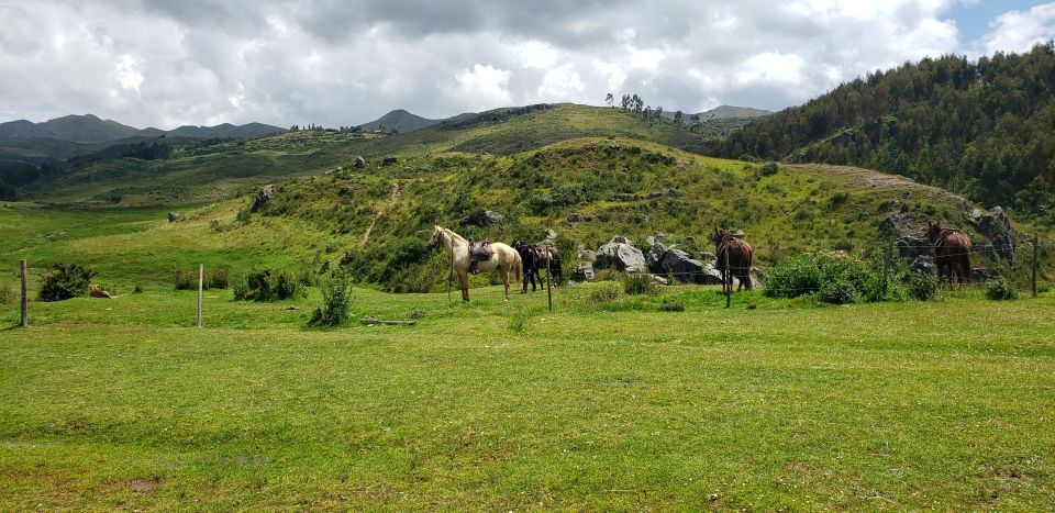 Cusco: Sacsayhuaman Guided Tour and 1-Hour Horseback Ride - Tambomachay and Puka Pukara: finishing with water and a fortress vibe