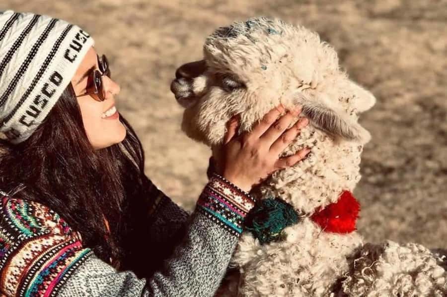 Cusco: Sacsayhuaman, Qenqo, Puca Pucara & Tambomachay Tour - Why this Cusco circuit fits your time and attention
