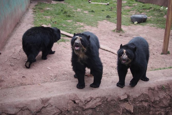 Cusco Santuario de Animales Rescatados en Cusco - Your personal guide: how the experience stays human