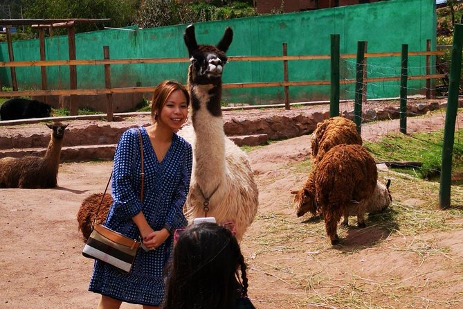 Cusco Santuario de Animales Rescatados en Cusco - Shopping that isn’t just shopping: supporting care and communities
