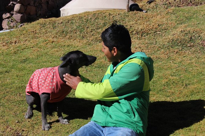 Cusco Santuario de Animales Rescatados en Cusco - Price and value: how $34 holds up for what you get