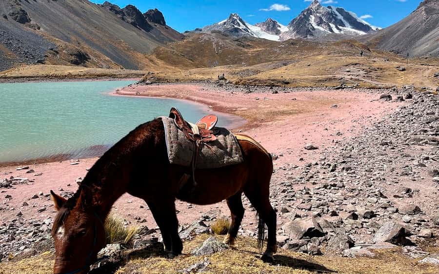 Excursion: Explore in one day the 7 lakes of Ausangate from Cusco - Key highlights that make this day trip worth it