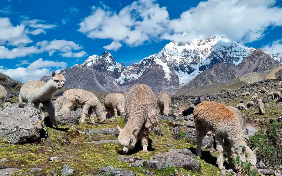 Excursion: Explore in one day the 7 lakes of Ausangate from Cusco - The photo stop window: where you can breathe and shoot smarter