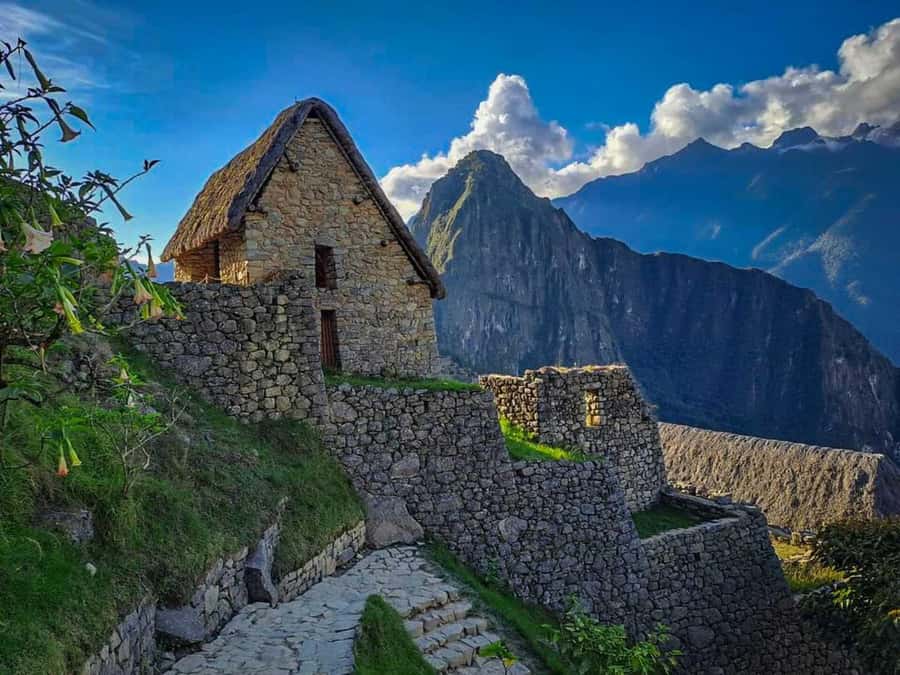 Excursion from Cusco to Machu Picchu + Entrance Tickets Incl - Key things I’d watch for
