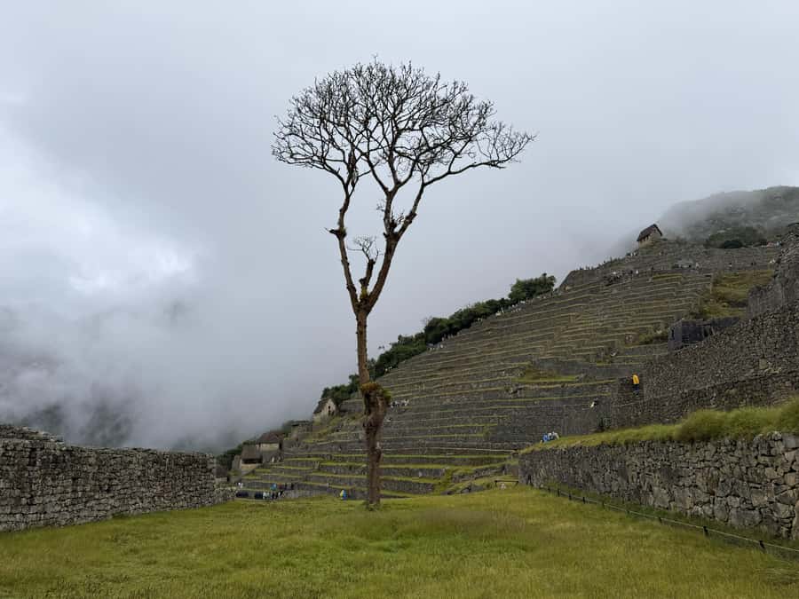 Excursion from Cusco to Machu Picchu + Entrance Tickets Incl - The Guided Circuit Experience: Expert Help and a Real Pace Change
