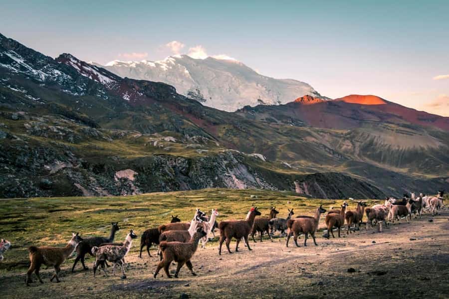 Excursion: Rainbow Mountain and Ausangate 7 Lagoons 2 days - Who Should Book (and Who Should Skip)